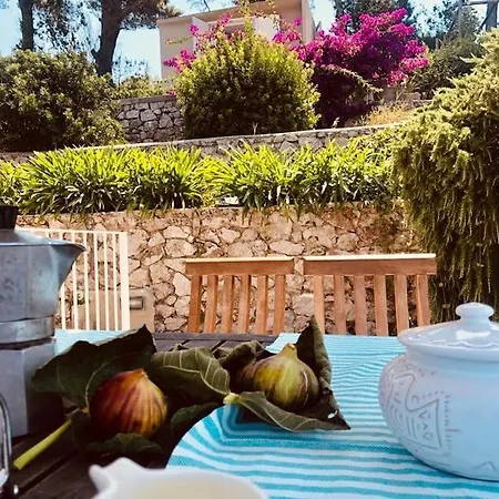 Villa Tiberio *